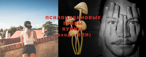 МДМА Осташков