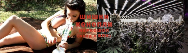 амф Галич