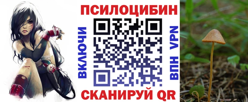 Галлюциногенные грибы Psilocybe  Ряжск 
